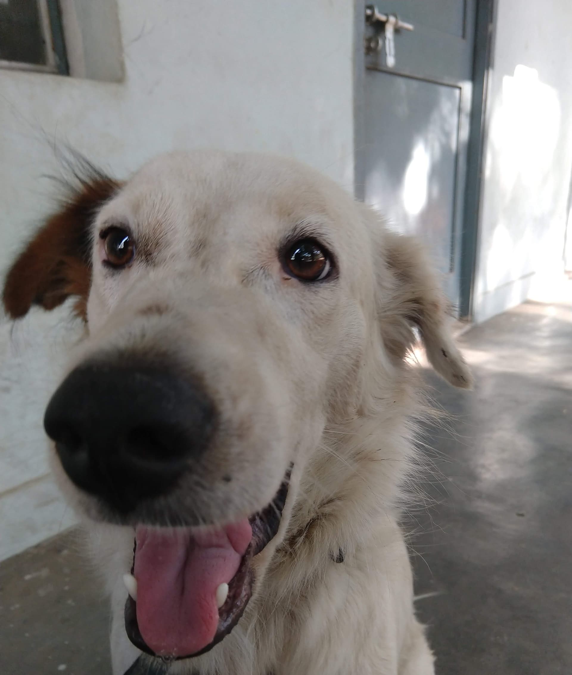 Latte art from May 23, 2025